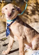 IMG_6590.webp IMG_6590.webp