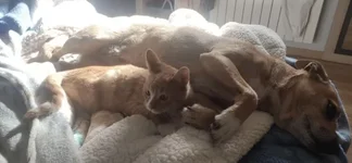 IMG_6592.webp IMG_6592.webp