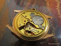 img_2914.webp img_2914.webp