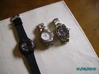 IMGP1509.webp