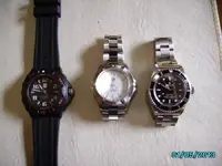 IMGP1510.webp