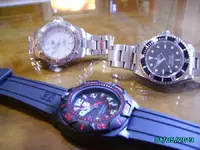 IMGP1514.webp