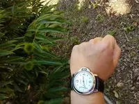 20170724_144051.webp