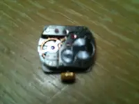 gatos 068.webp
