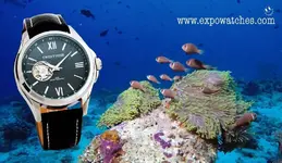 Twentyone Classic en Maldivas 2.webp