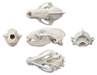 IMG-20251225-WA0002.webp IMG-20251225-WA0002.webp