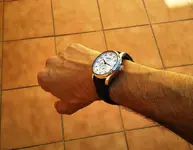 puesto 5 en muñeca perfil.webp