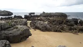 20170725_133439.webp
