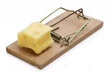 mousetrap.webp