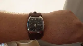 IMGP0825.webp