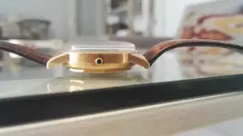 IMG_20170417_194732.webp IMG_20170417_194732.webp