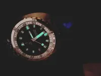 1501181979277587176082.webp