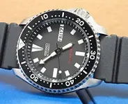 SKX173_1.sized.webp
