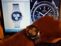 08 Swatch Wales.webp