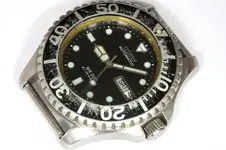 127196V1.webp
