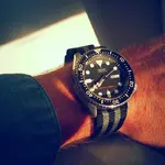 20170811_074157[1].webp