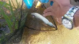 20170811_142636.webp