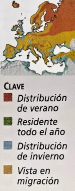 IMG_20260225_030701.webp IMG_20260225_030701.webp