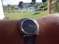 Roamer_azul1.webp