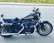 harley.webp