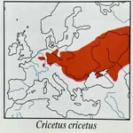 IMG_20260317_030126.webp IMG_20260317_030126.webp