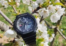 Captura de pantalla 2026-03-21 133738.webp