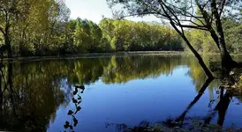 El Ebro.webp