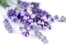 Captura de pantalla 2017-10-06 a las 14.39.37.webp