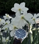 ALP20260319_105107 (2).webp