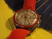 P9210238.webp