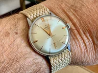 IMG_2435.webp