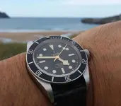 Tudor bb.webp Tudor bb.webp
