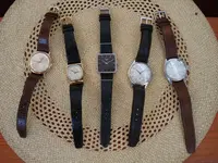 DSC01176.webp
