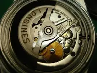 DSC01221.webp