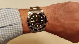 tudor2.webp
