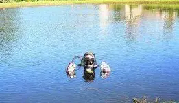 11596229.webp