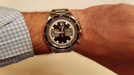 tudor3.webp