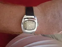 IMGP0955.webp