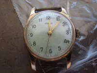 IMGP0949.webp