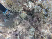 GOPR0372.webp