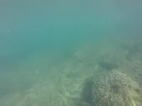 GOPR0288.webp