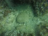 GOPR0291.webp