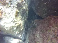 GOPR0310.webp