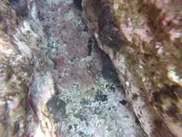 GOPR0319.webp
