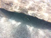 GOPR0324.webp