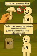 1780346082766.webp