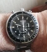 Seiko Bull Head.webp
