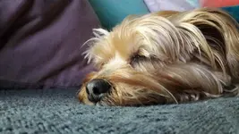 20170306_200158.webp