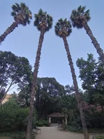 1000320532.webp