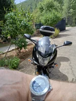 1000043053.webp